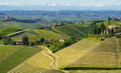 Le Langhe: patrimonio di vini, tartufi e cultura